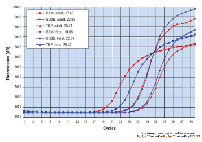  qPCR DNA concentration plotted against cycle number for several genes. 